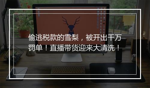 偷逃税款的雪梨,被开出千万罚单!直播带货迎来大清洗!
