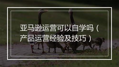 亚马逊运营可以自学吗(产品运营经验及技巧)