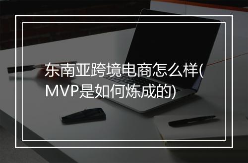 东南亚跨境电商怎么样(MVP是如何炼成的)