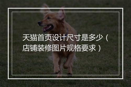 天猫首页设计尺寸是多少(店铺装修图片规格要求)