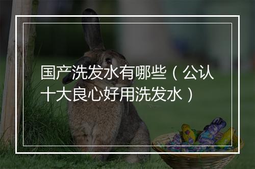 国产洗发水有哪些(公认十大良心好用洗发水)