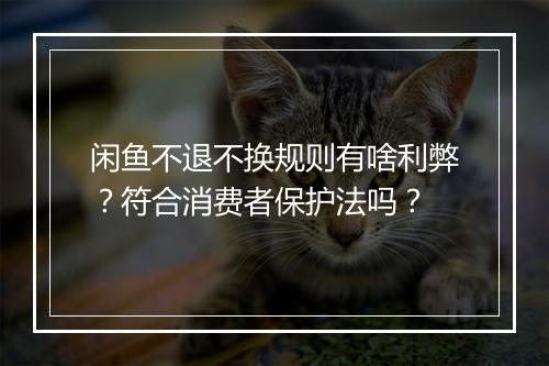 闲鱼不退不换规则有啥利弊?符合消费者保护法吗?
