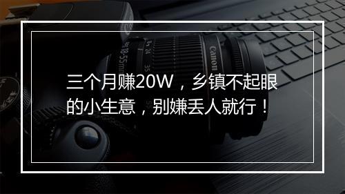 三个月赚20W,乡镇不起眼的小生意,别嫌丢人就行!