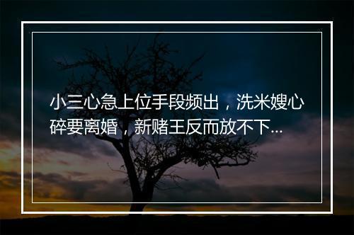 小三心急上位手段频出,洗米嫂心碎要离婚,新赌王反而放不下了?