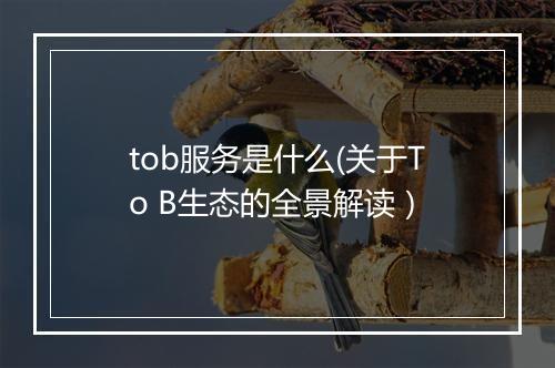 tob服务是什么(关于To B生态的全景解读)