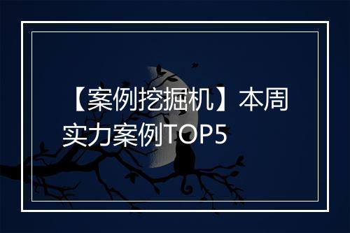 【案例挖掘机】本周实力案例TOP5