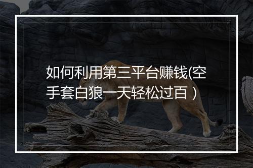 如何利用第三平台赚钱(空手套白狼一天轻松过百)