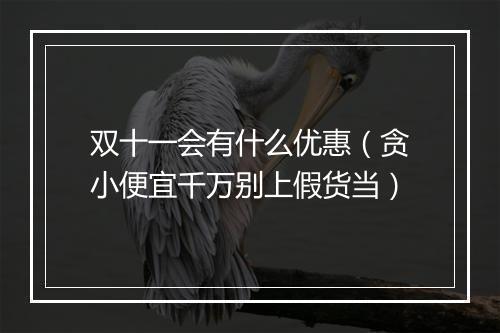 双十一会有什么优惠(贪小便宜千万别上假货当)