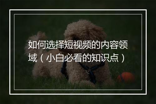 如何选择短视频的内容领域(小白必看的知识点)