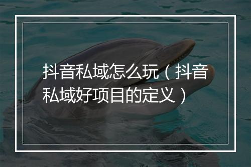 抖音私域怎么玩(抖音私域好项目的定义)