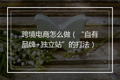 跨境电商怎么做(“自有品牌+独立站”的打法)