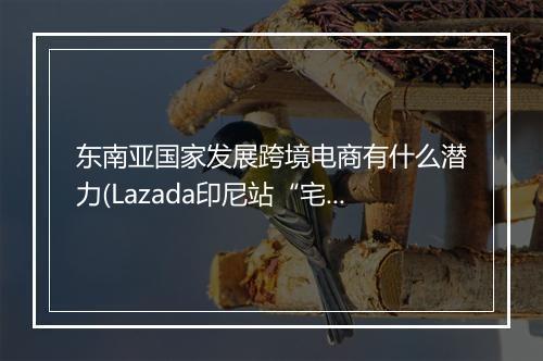 东南亚国家发展跨境电商有什么潜力(Lazada印尼站“宅经济“备战指南)