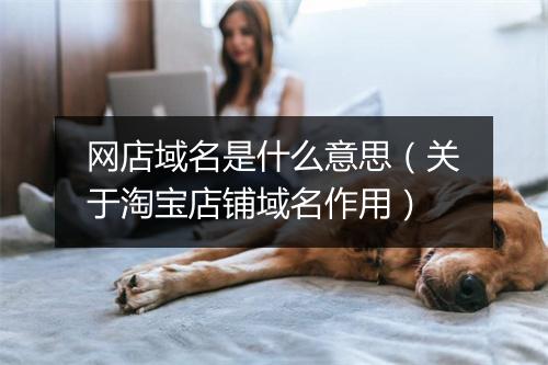 网店域名是什么意思(关于淘宝店铺域名作用)