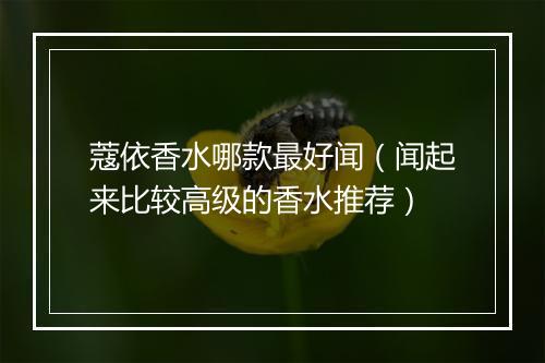蔻依香水哪款最好闻(闻起来比较高级的香水推荐)