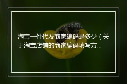 淘宝一件代发商家编码是多少(关于淘宝店铺的商家编码填写方式)