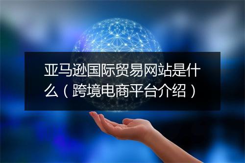 亚马逊国际贸易网站是什么(跨境电商平台介绍)