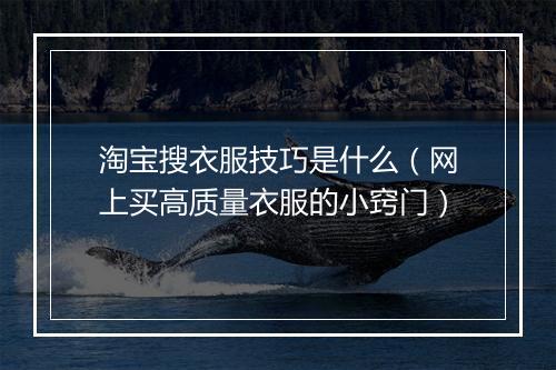 淘宝搜衣服技巧是什么(网上买高质量衣服的小窍门)