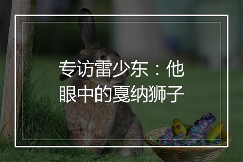 专访雷少东:他眼中的戛纳狮子
