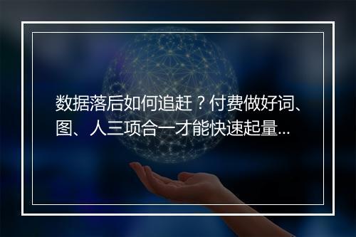 数据落后如何追赶?付费做好词、图、人三项合一才能快速起量!