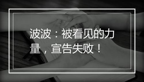 波波:被看见的力量,宣告失败!