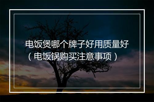 电饭煲哪个牌子好用质量好(电饭锅购买注意事项)