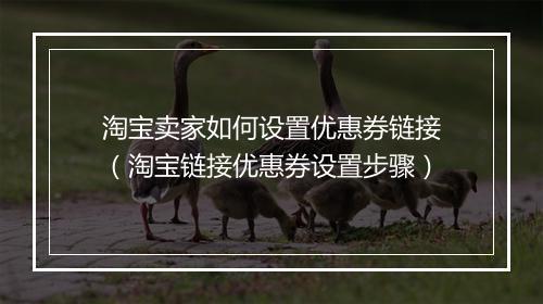 淘宝卖家如何设置优惠券链接(淘宝链接优惠券设置步骤)