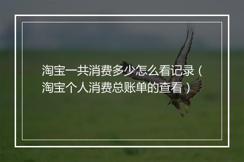 淘宝一共消费多少怎么看记录(淘宝个人消费总账单的查看)