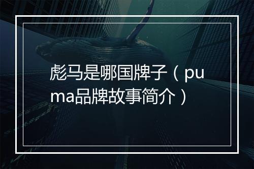 彪马是哪国牌子(puma品牌故事简介)