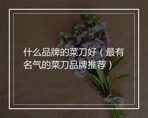 什么品牌的菜刀好(最有名气的菜刀品牌推荐)