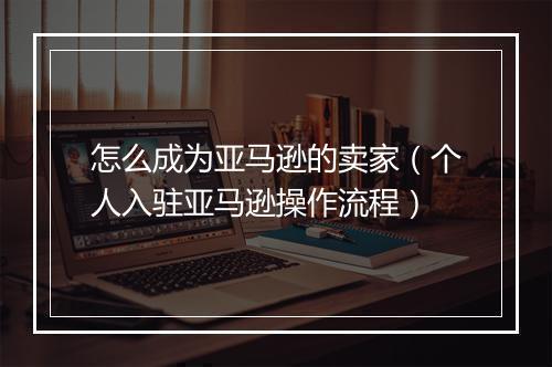 怎么成为亚马逊的卖家(个人入驻亚马逊操作流程)