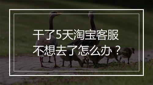 干了5天淘宝客服不想去了怎么办?