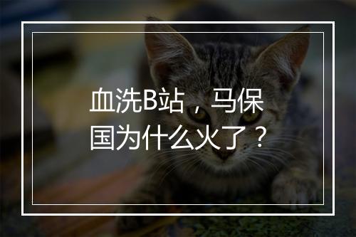 血洗B站,马保国为什么火了?