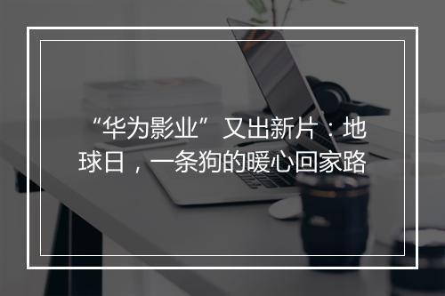 “华为影业”又出新片:地球日,一条狗的暖心回家路