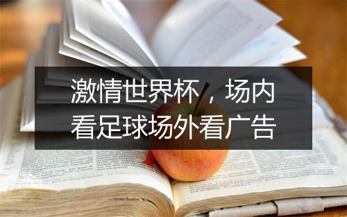 激情世界杯,场内看足球场外看广告