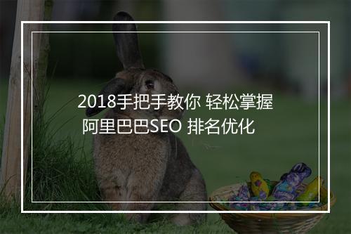 2018手把手教你 轻松掌握 阿里巴巴SEO 排名优化