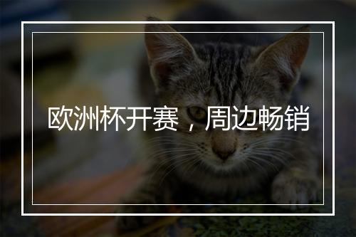 欧洲杯开赛,周边畅销