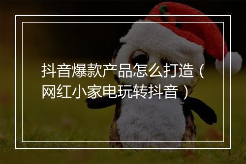 抖音爆款产品怎么打造(网红小家电玩转抖音)