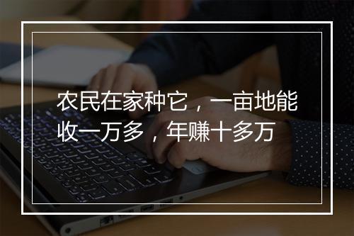 农民在家种它,一亩地能收一万多,年赚十多万