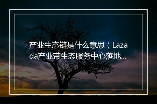 产业生态链是什么意思(Lazada产业带生态服务中心落地澄海)