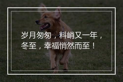 岁月匆匆,料峭又一年,冬至,幸福悄然而至!