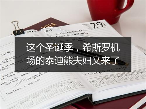 这个圣诞季,希斯罗机场的泰迪熊夫妇又来了