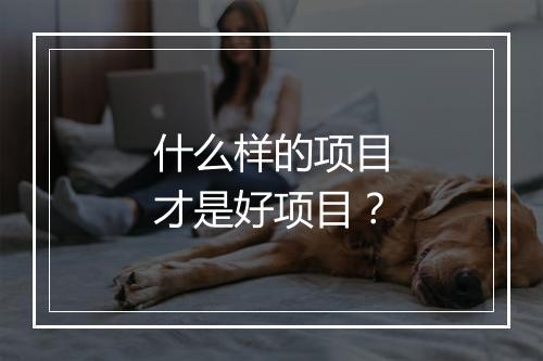 什么样的项目才是好项目?