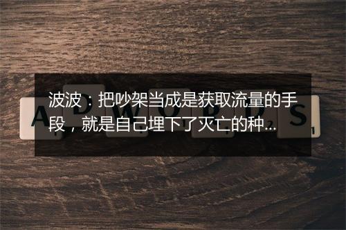波波:把吵架当成是获取流量的手段,就是自己埋下了灭亡的种子