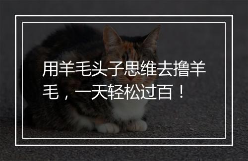 用羊毛头子思维去撸羊毛,一天轻松过百!
