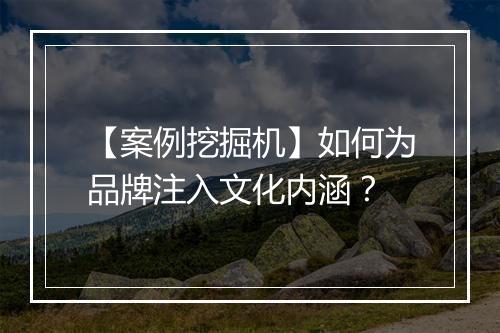 【案例挖掘机】如何为品牌注入文化内涵?