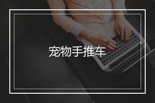 宠物手推车
