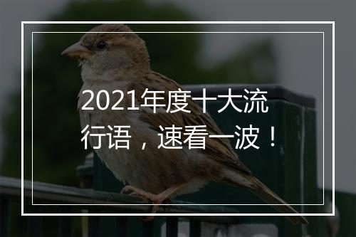2021年度十大流行语,速看一波!