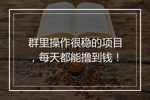 群里操作很稳的项目,每天都能撸到钱!