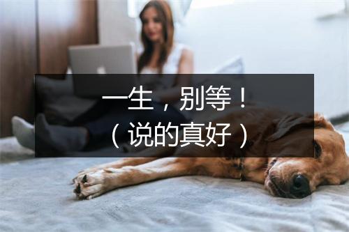 一生,别等 !(说的真好)