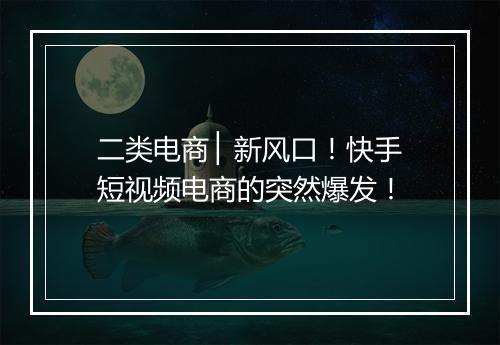 二类电商 ▏新风口!快手短视频电商的突然爆发!